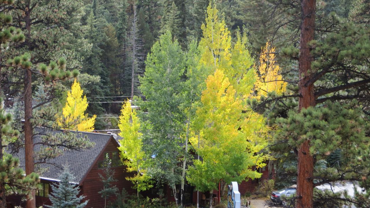 Amberwood Villa Estes Park Bagian luar foto